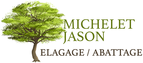 Michelet Jason elagage 77